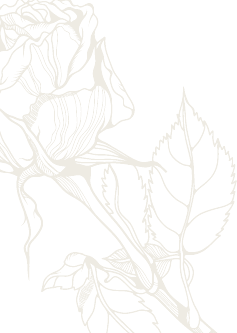 Aliice Skincare Shape